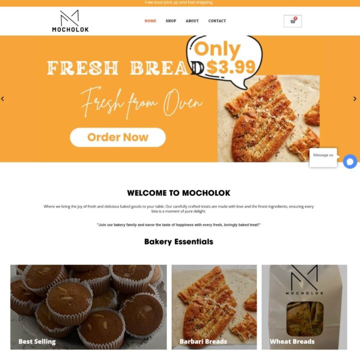 Mocholok Site Banner